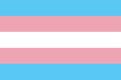 An image of the trans flag